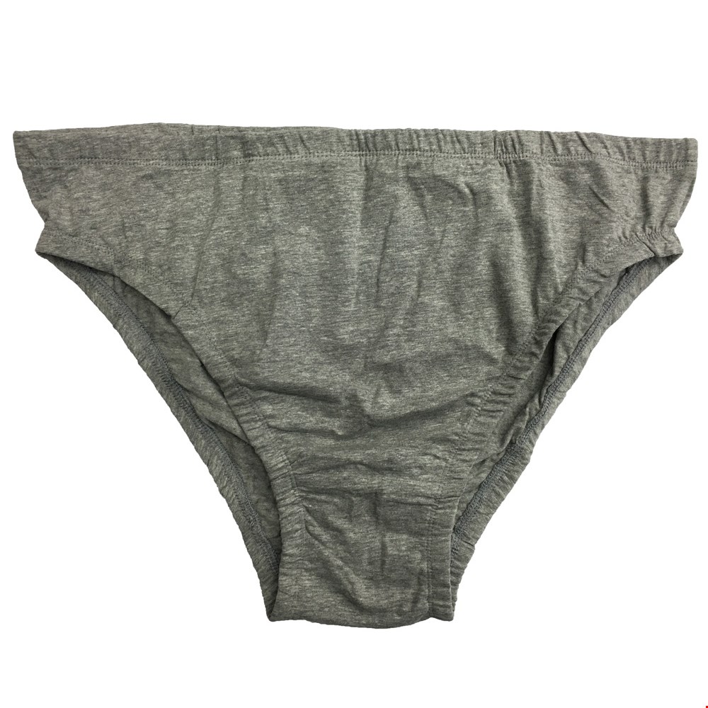 Underwear Cotton Valley Briefs Big Man Clothing